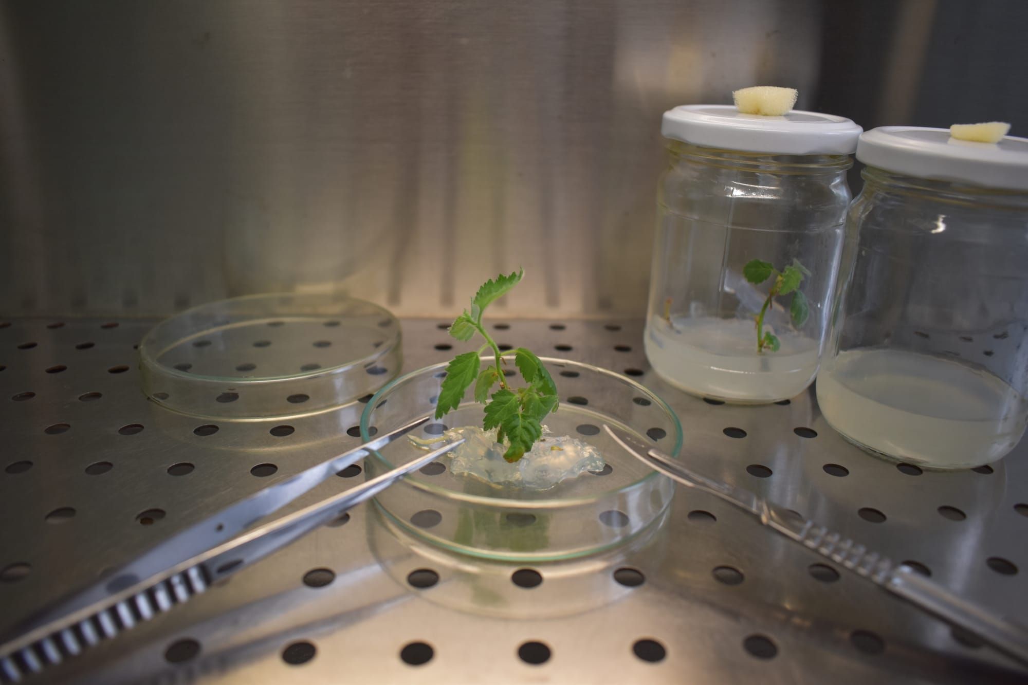 17 травня — День науки в Україні!