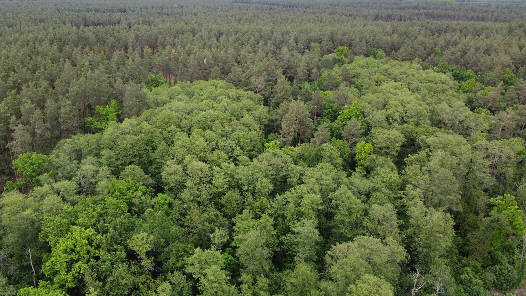 ПОВІДОМЛЕННЯ про плановану діяльність, яка підлягає оцінці впливу на довкілля