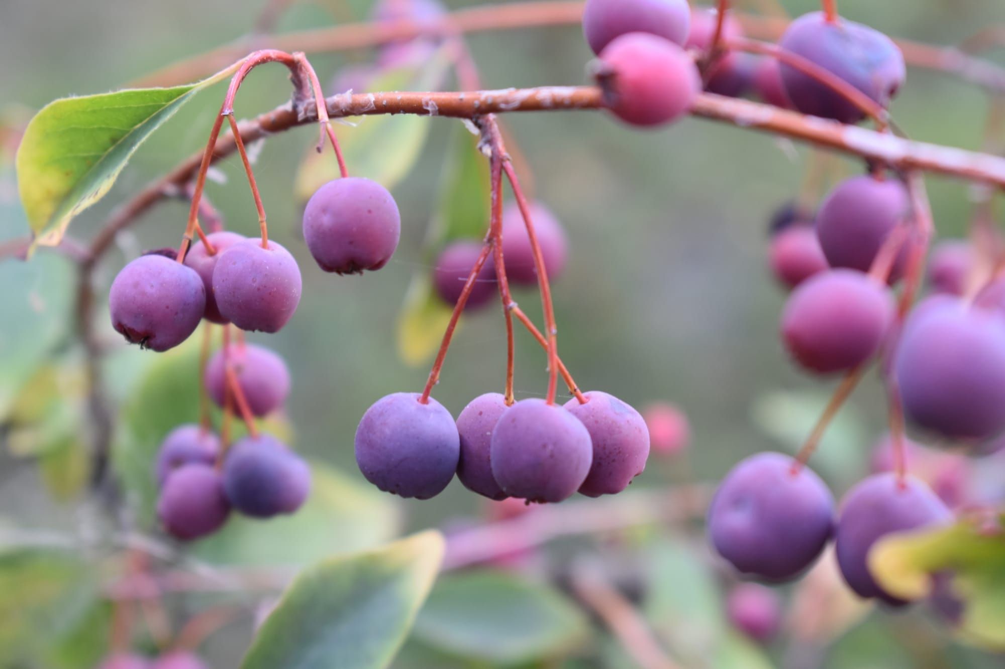 Чудовий завершальний акорд літа