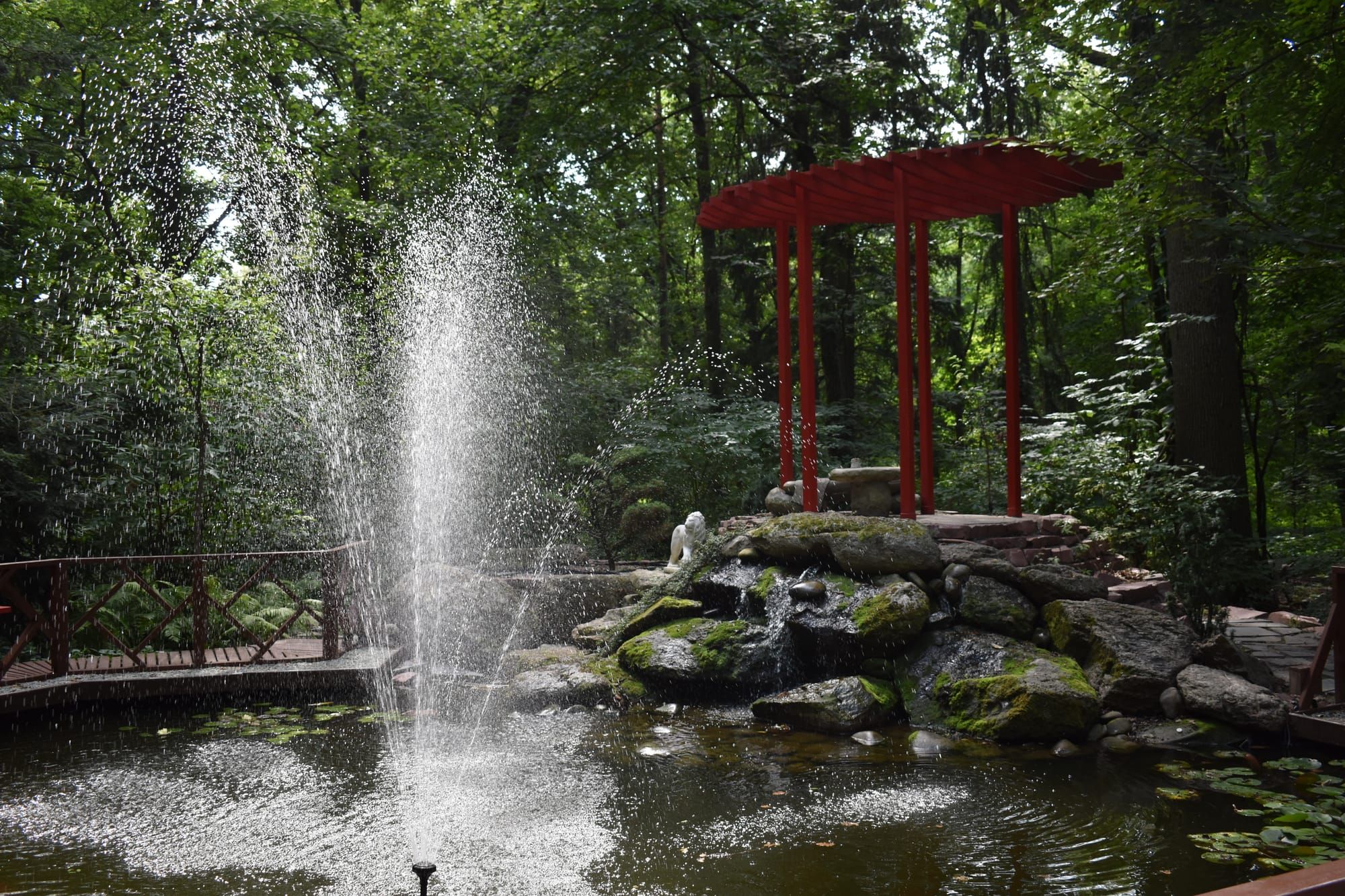 Відеопрогулянка ботанічним садом НУБіП України