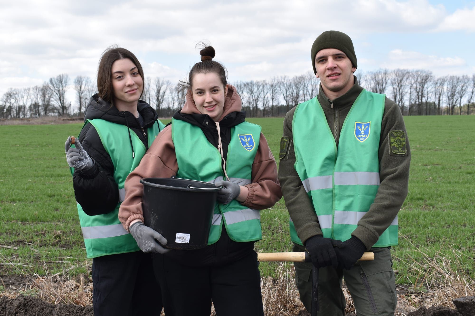 Лісосмуги життя