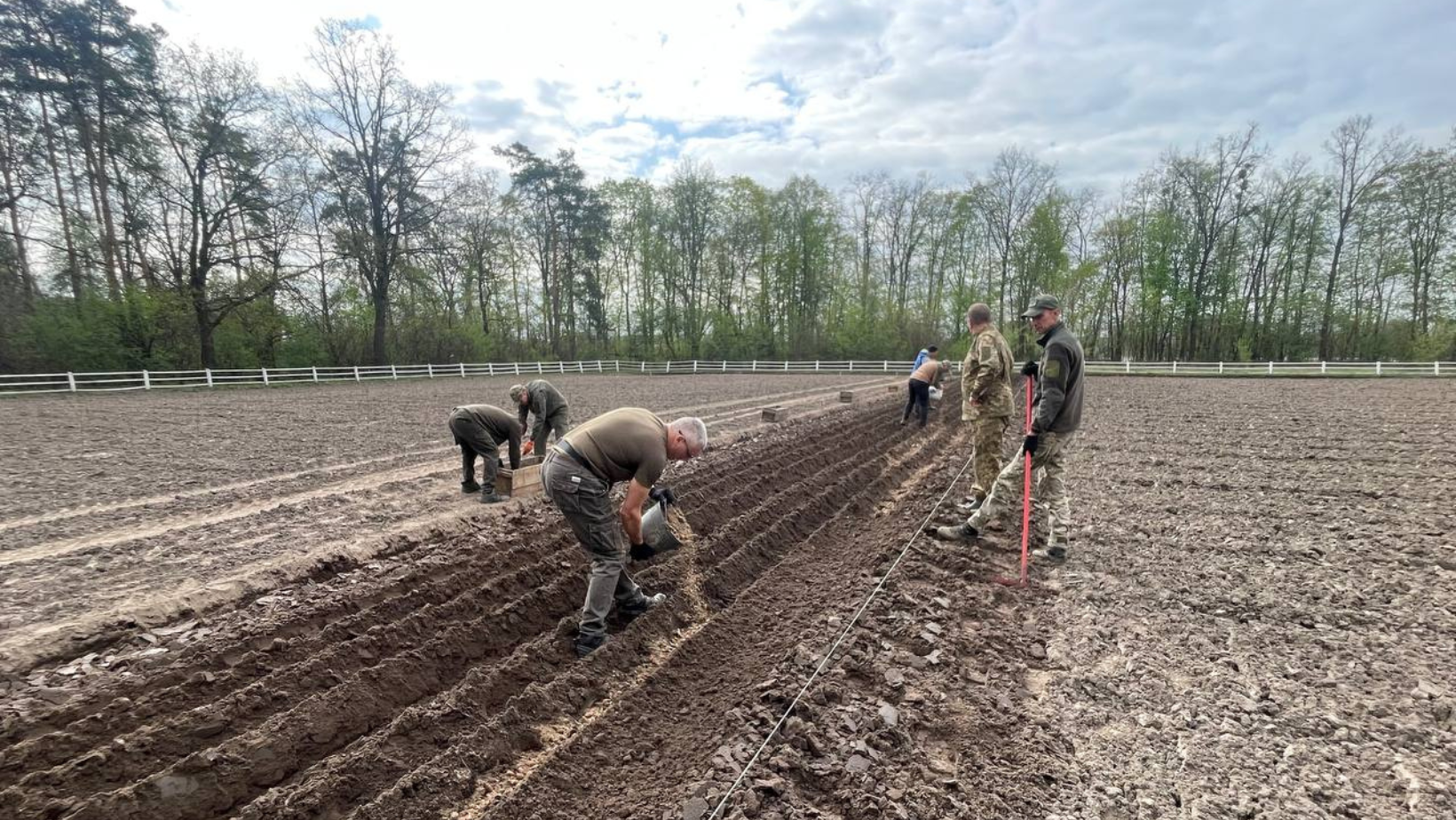 Посів майбутніх лісових гігантів на лісорозсаднику