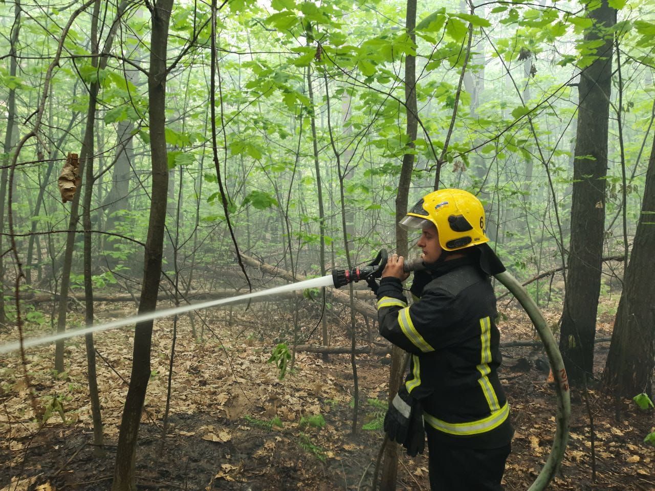 Боярська лісова дослідна станція розпочала підготовку до пожежонебезпечного періоду 2024 року
