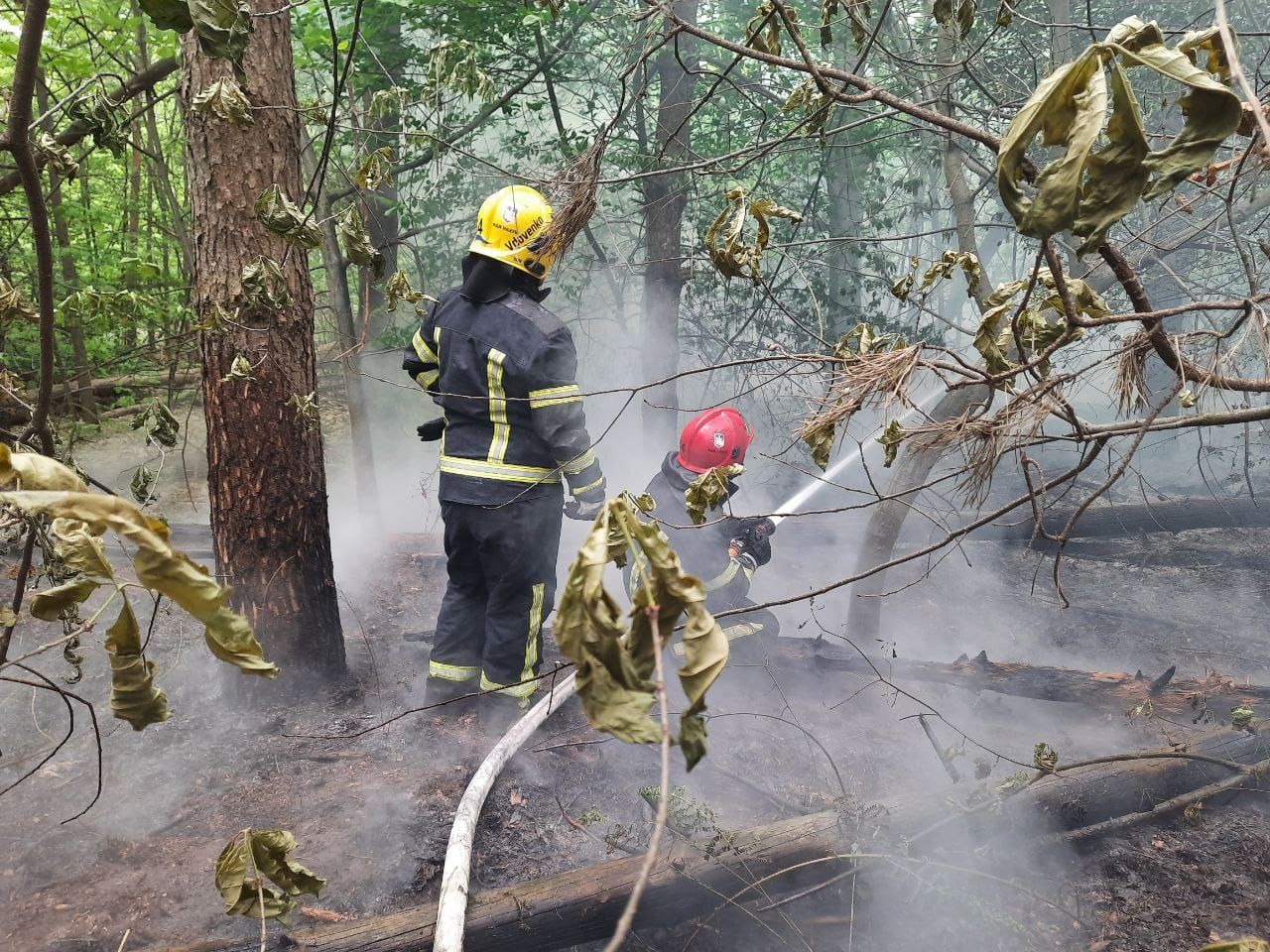 Захист лісових масивів у пожежонебезпечний період