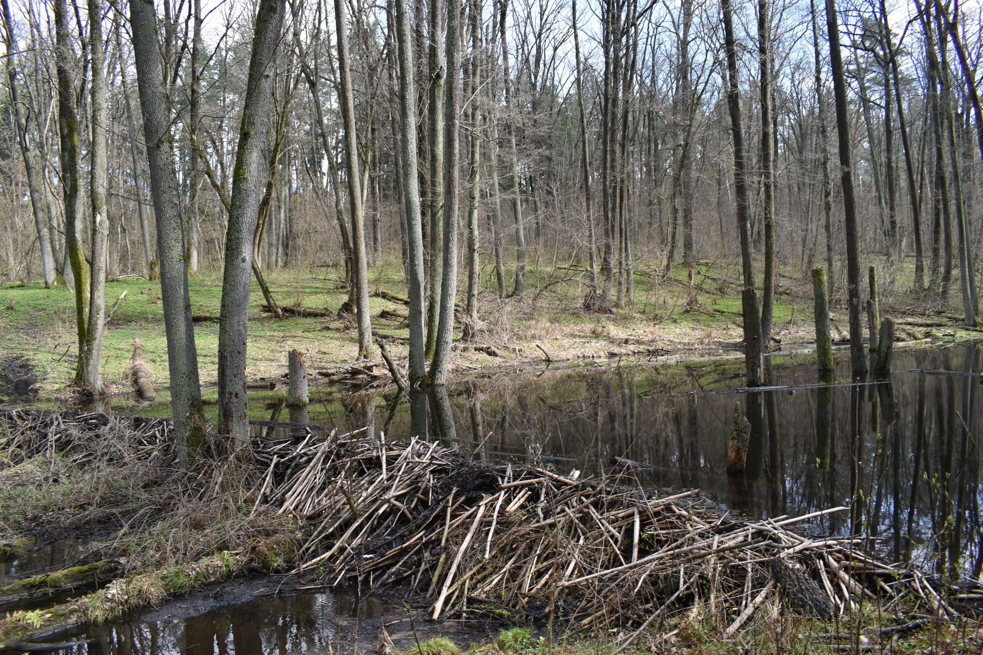 Сертифікація