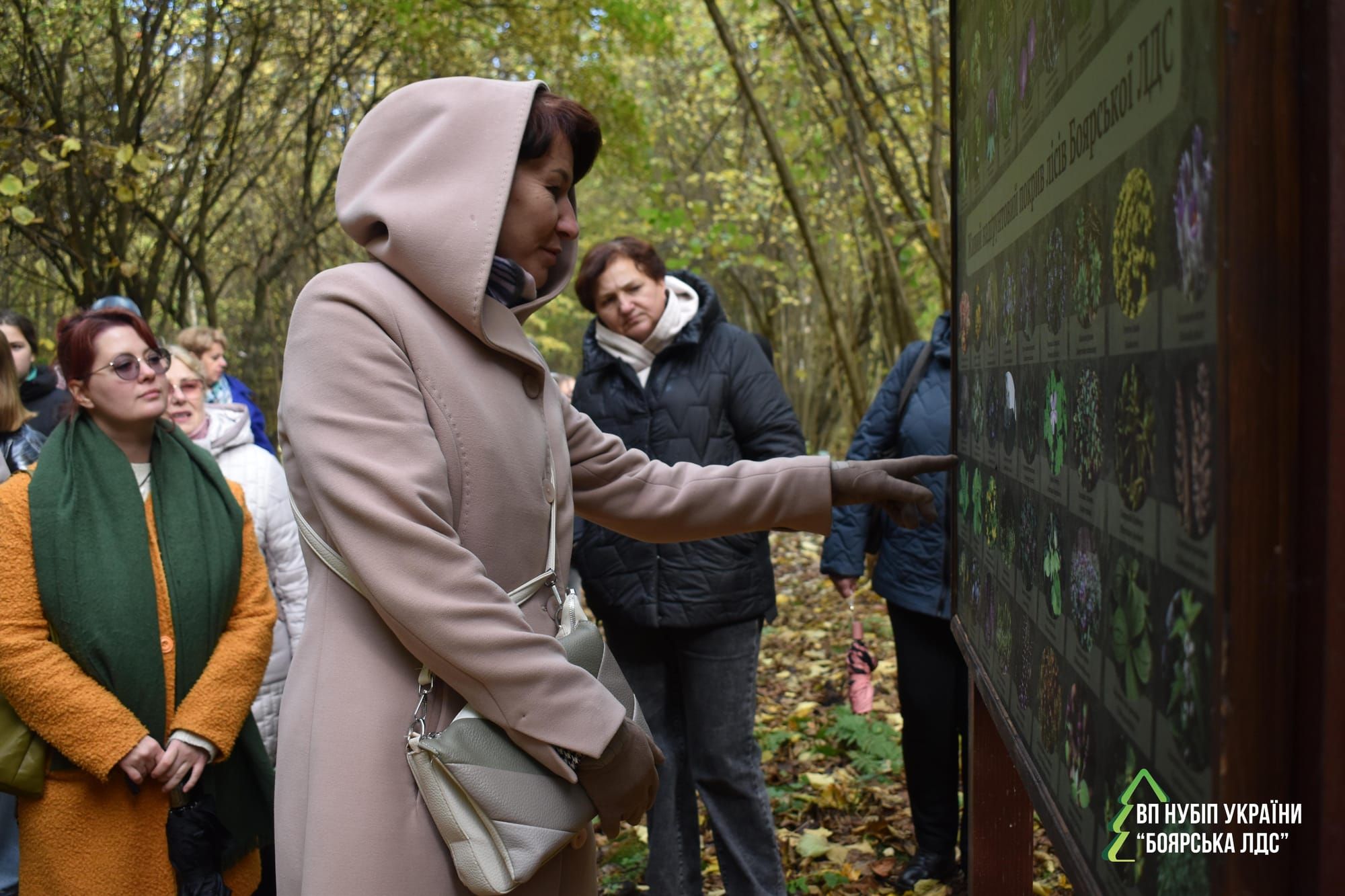 Екологічна освіта просто неба