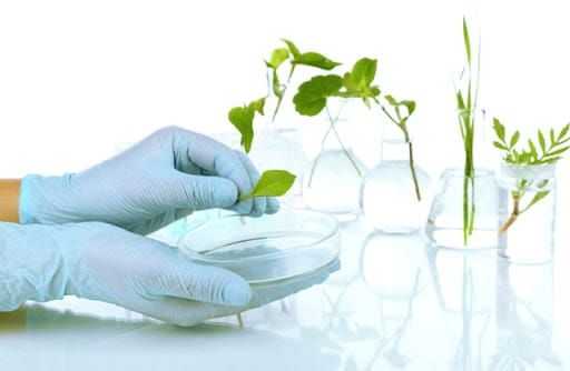 УЧАСТЬ БІОТЕХНОЛОГІВ ВП НУБіП УКРАЇНИ «БОЯРСЬКА ЛДС» В КРУГЛОМУ СТОЛІ «БІОТЕХНОЛОГІЯ:ЗВЕРШЕННЯ ТА НАДІЇ» З НІМЕЦЬКИМИ КОЛЕГАМИ