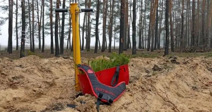 Лісокультурна кампанія Боярської ЛДС не залишилась непоміченою ЗМІ