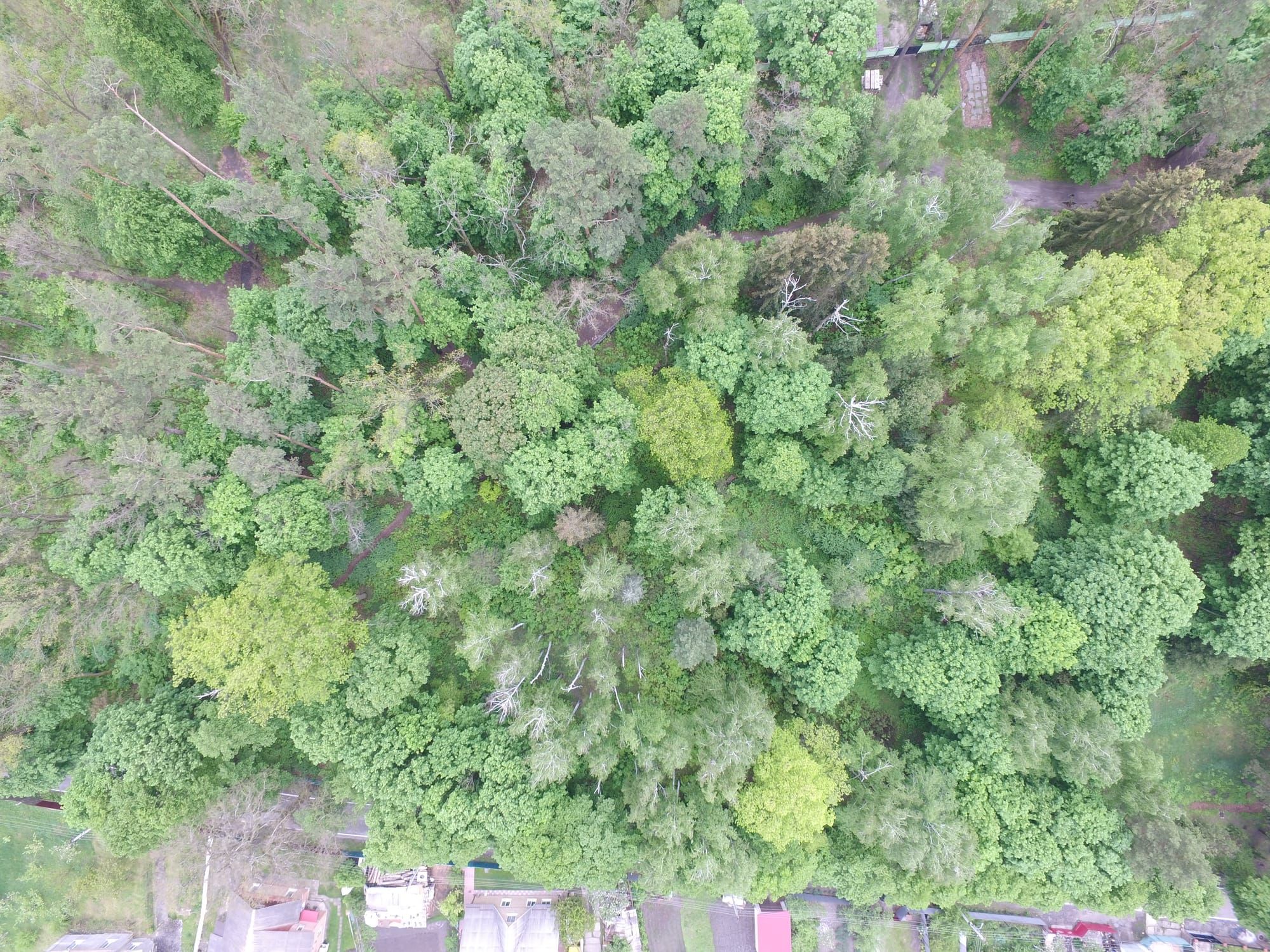 Лісівники занепокоєні масовим псуванням знаків наочної агітації та межових знаків на території ВП НУБіП України «Боярська ЛДС» .