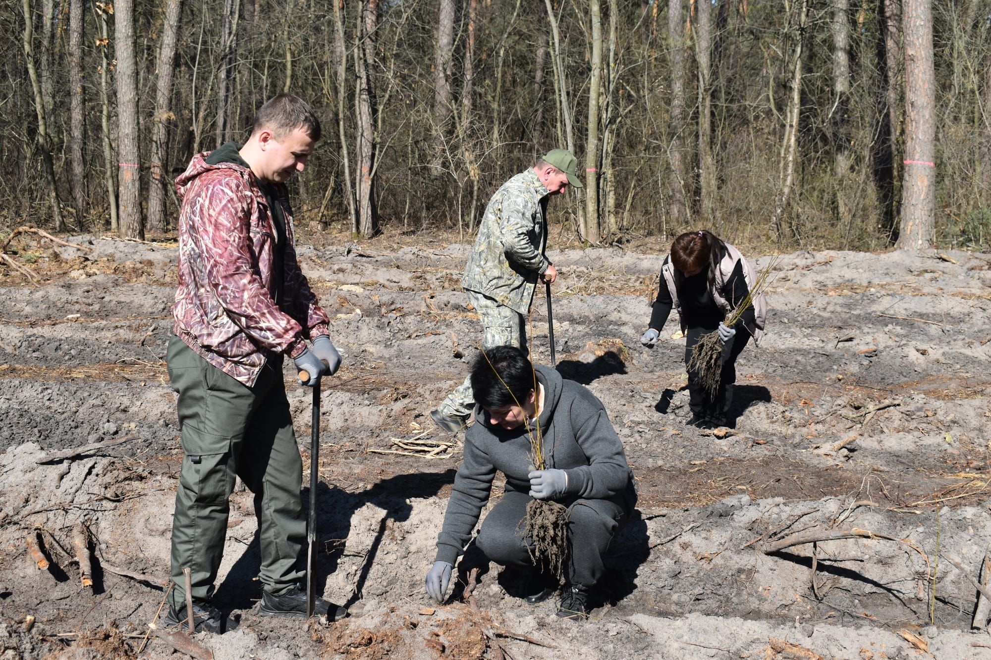 ВІДНОВИМО ЛІС РАЗОМ