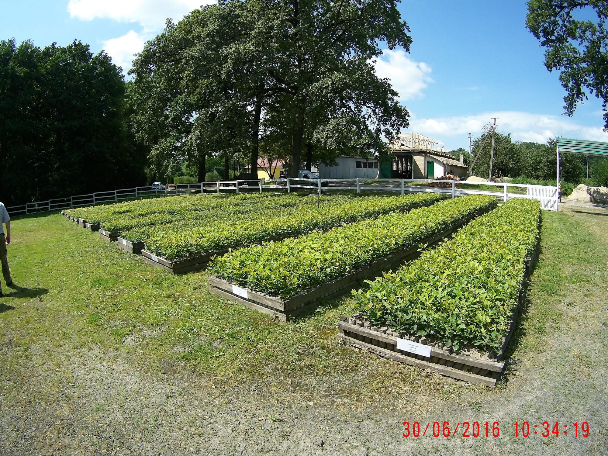 Працівники ВП НУБіП України «Боярська ЛДС» за підтримки Черкаського обласного управління лісового та мисливського господарства відвідали лісогосподарські підприємства Черкаської області.