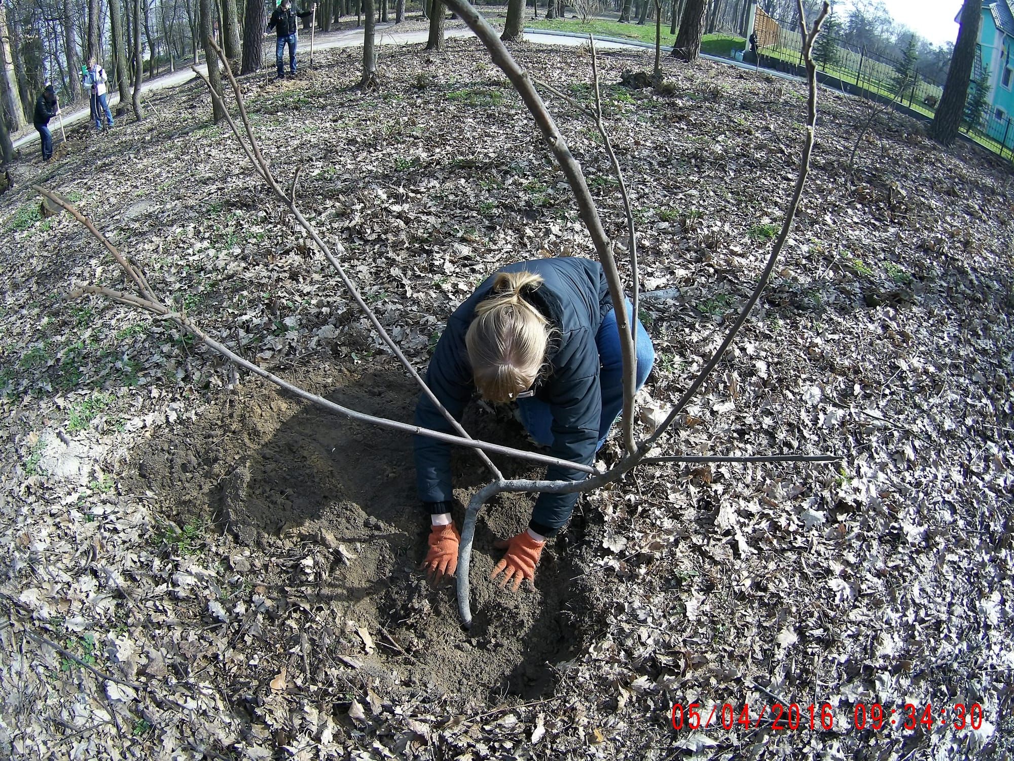 Природно-заповідний фонд не тільки потребує перевірок а й піклування про нього.