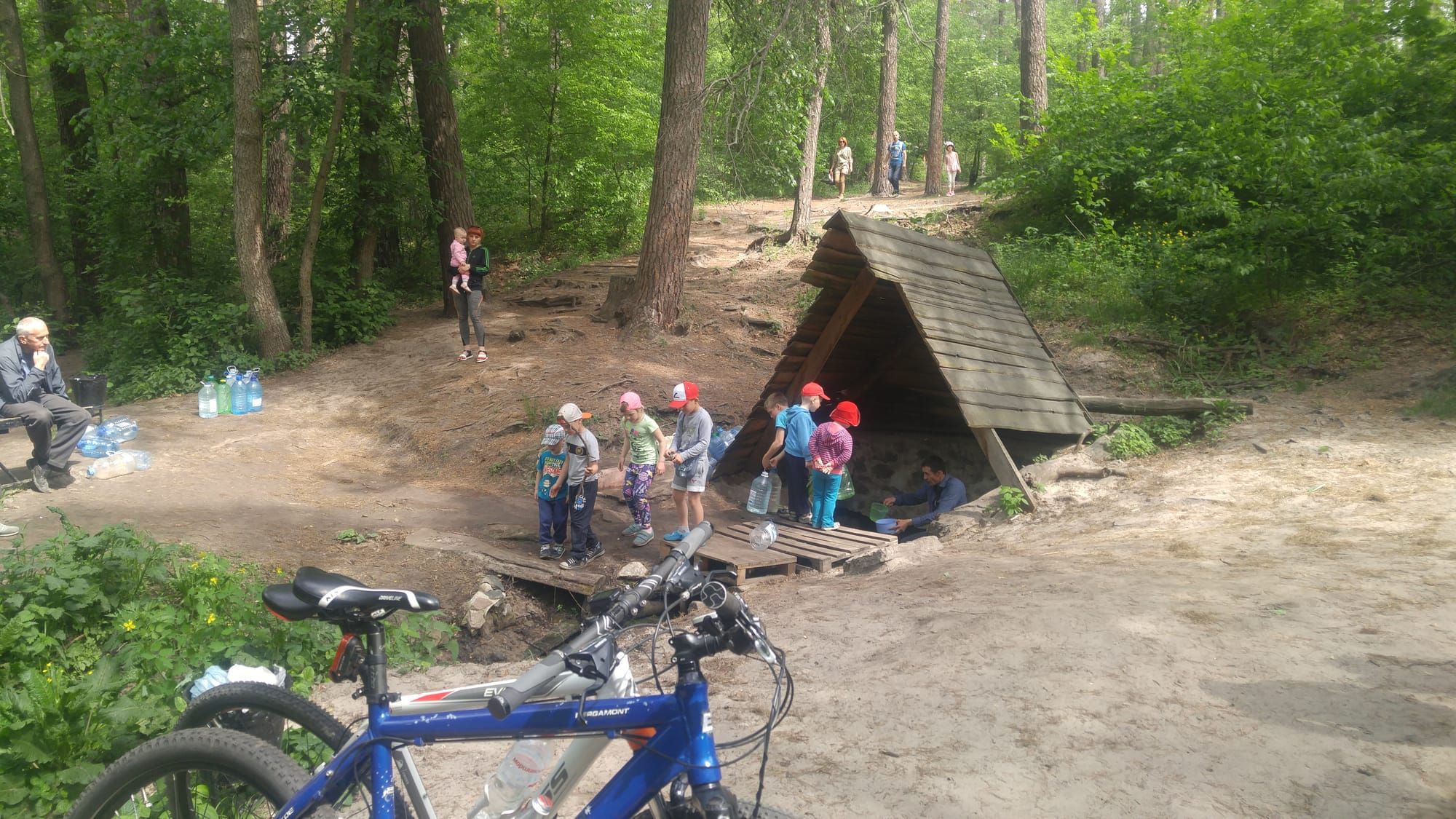 Туристично-екскурсійний маршрут: ЛІСОВІ СТЕЖКИ.