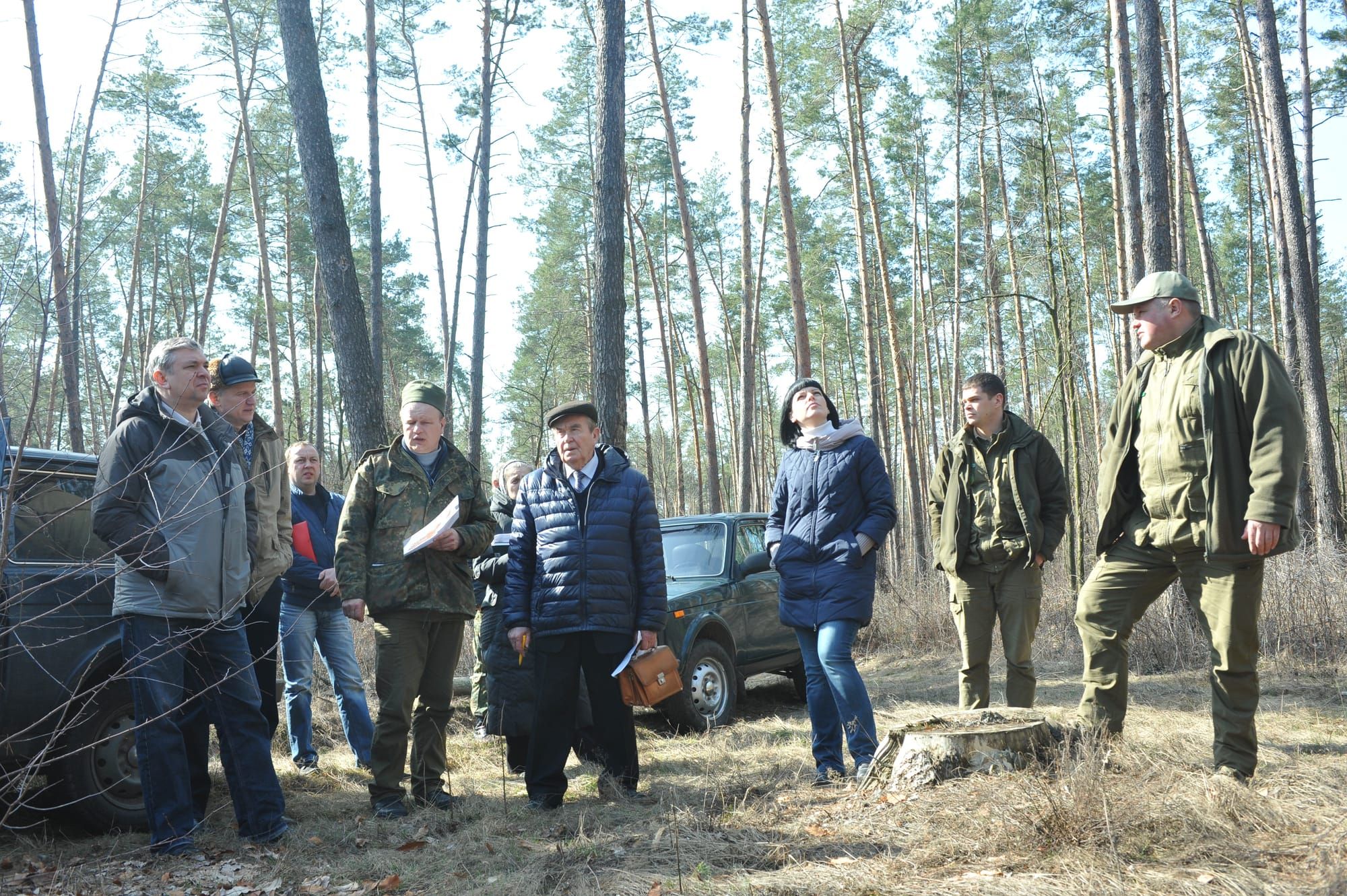 Лісопатологічне обстеження лісових масивів ВП НУБіП України «Боярська ЛДС»