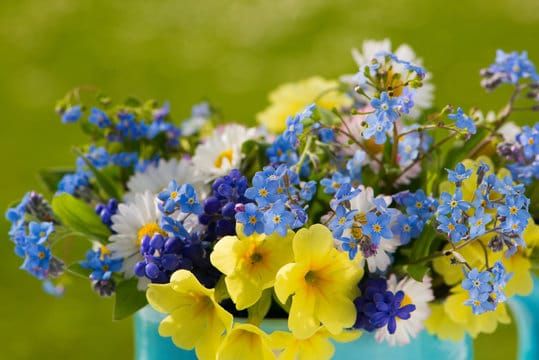 Вітаємо агітбригаду «Вітаміни» зі здобуттям ГРАН-ПРІ на Всеукраїнському конкурсі колектив екологічної просвіти