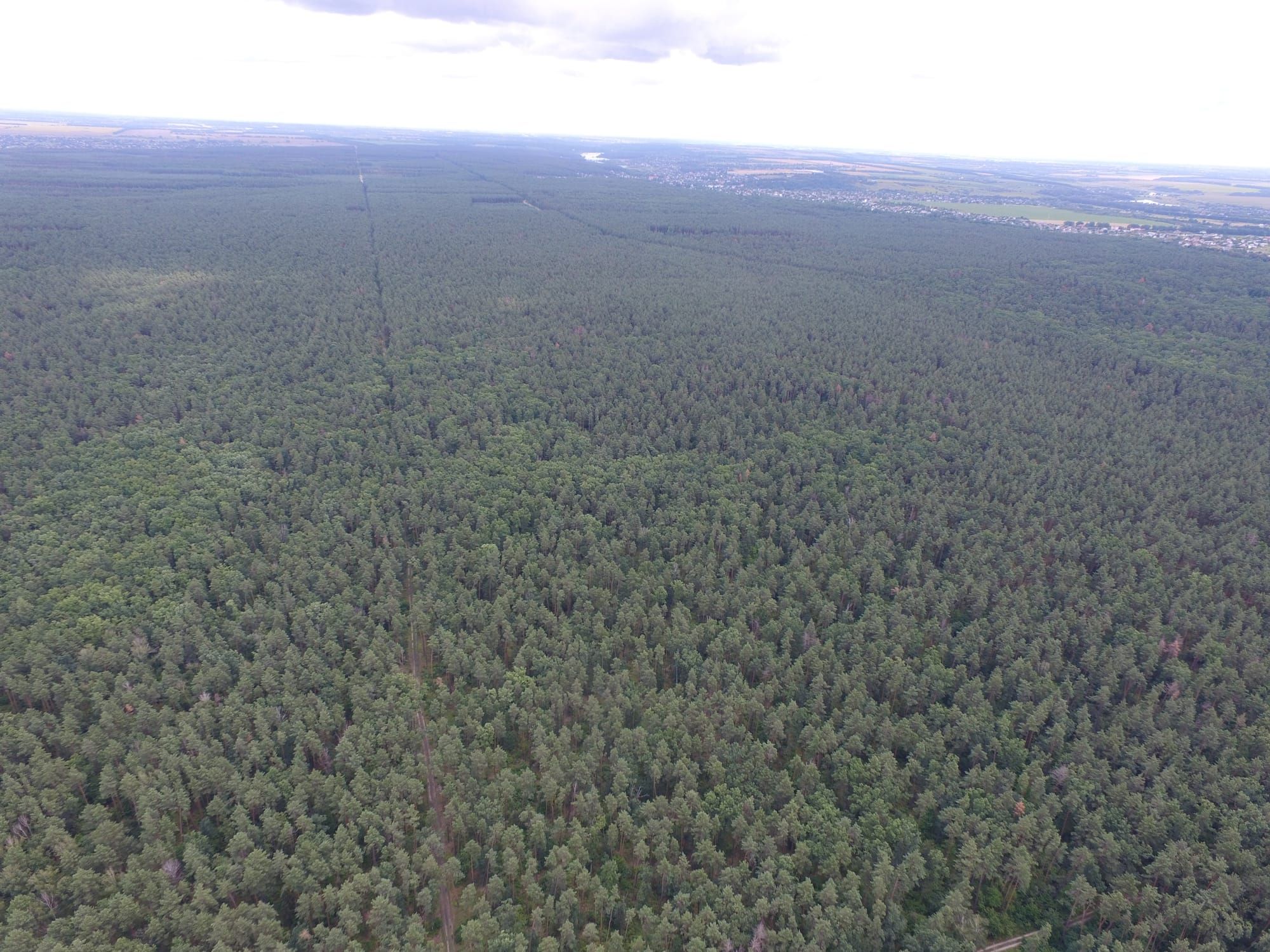 "Азимут" турботи про ліс і людей