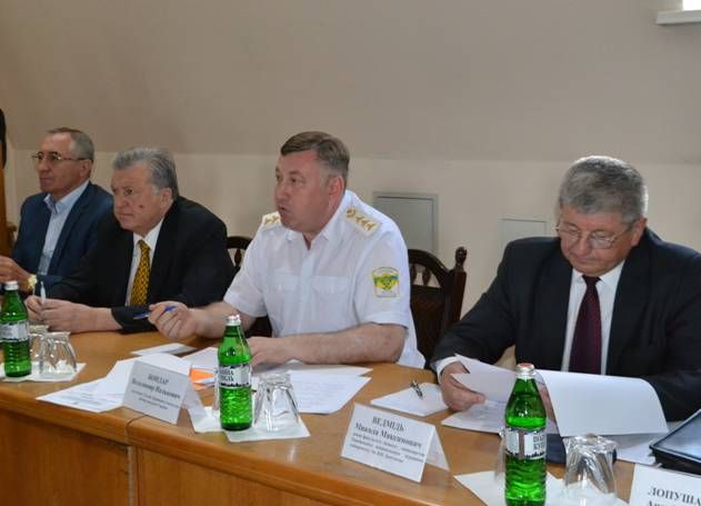 Держлісагентство: за останні 5 років відтворено лісів на площі більше 260 тисяч га