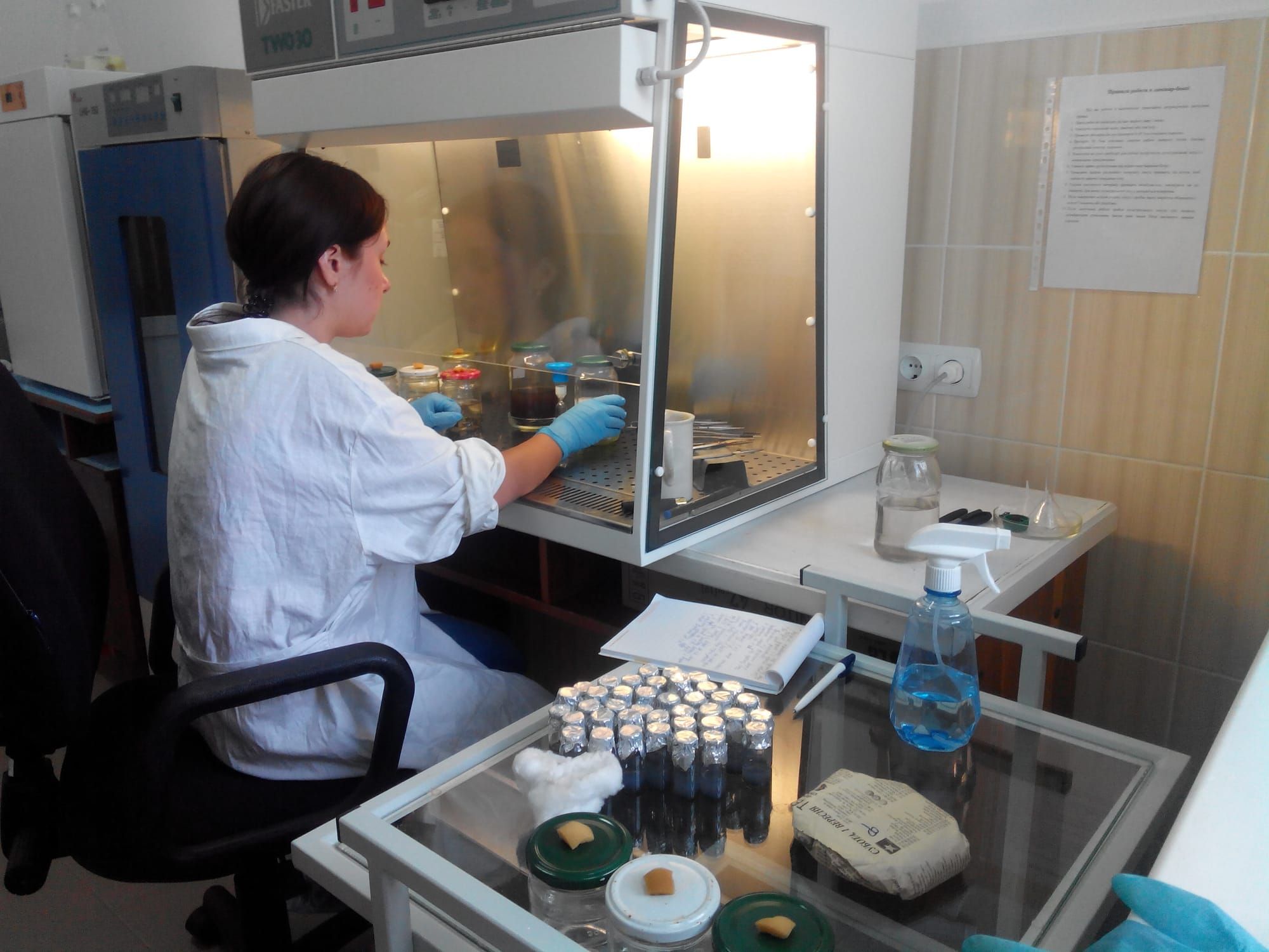 Студенти ННІ лісового і садово-паркового господарства пройшли виробничу практику у ВП НУБіП України «Боярська ЛДС»