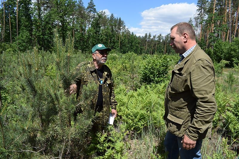 Не можна підготувати лісівника без досліджень у лісі…