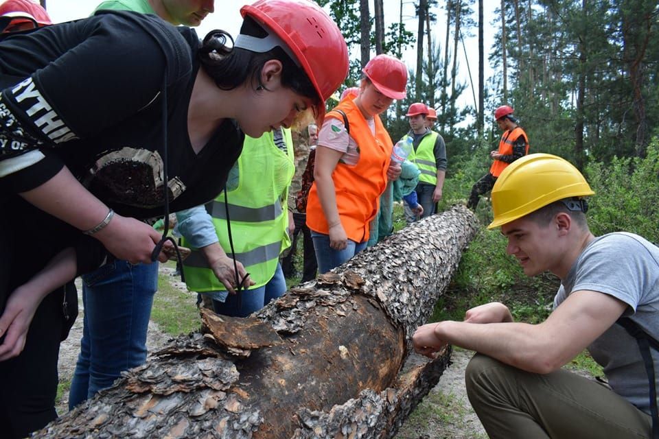 Наближене до природного лісівництво як система сучасного ведення лісового господарства