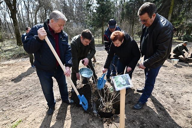 У ботанічному саді НУБіП заклали унікальний, найбільший за сортами сад магнолій