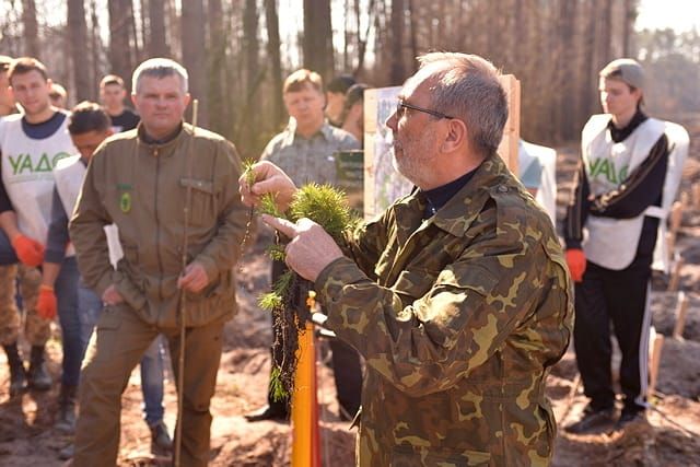 Майбутнє лісу – у твоїх руках