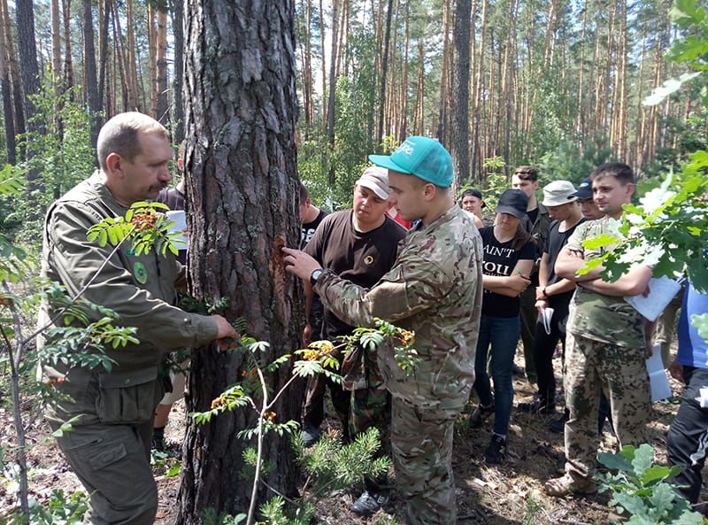 Навчальна практика з дисципліни «Лісівництво» у  ВП НУБіП України «Боярська ЛДС»