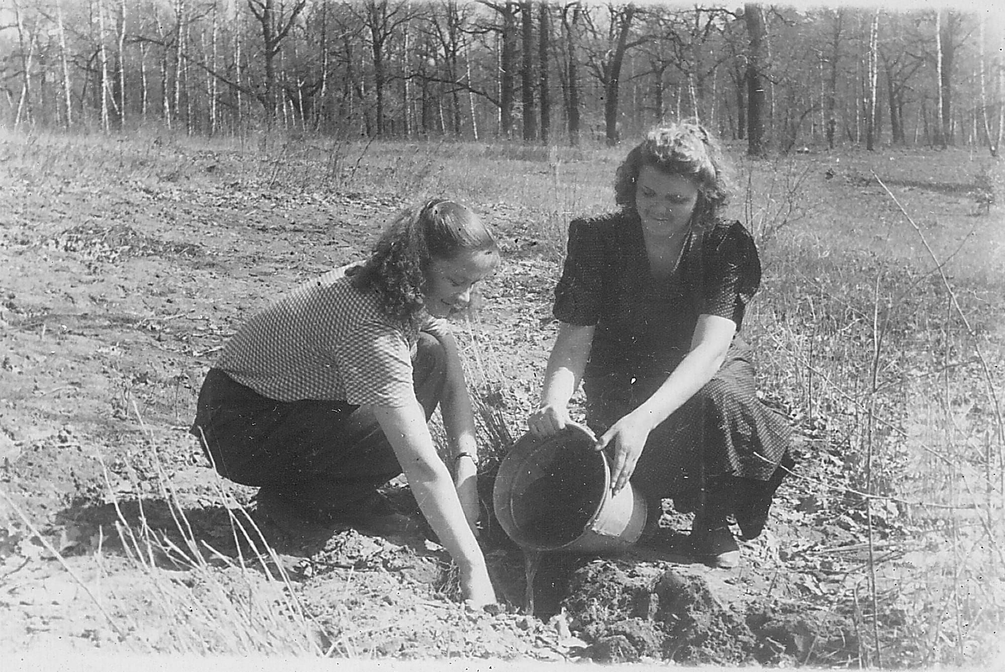 НАВЧАЛЬНІ ТА ВИРОБНИЧІ ПРАКТИКИ СТУДЕНТІВ-ЛІСІВНИКІВ (АРХІВНІ ФОТО)
