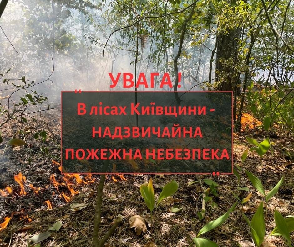 УВАГА! Закликаємо Вас неухильно дотримуватися ПРАВИЛ ПОЖЕЖНОЇ БЕЗПЕКИ В ЛІСАХ УКРАЇНИ!