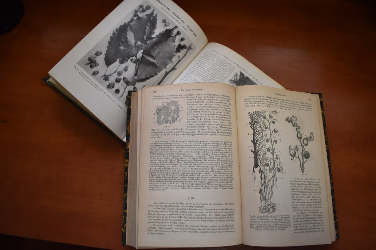 30 вересня - Всеукраїнський День бібліотек!