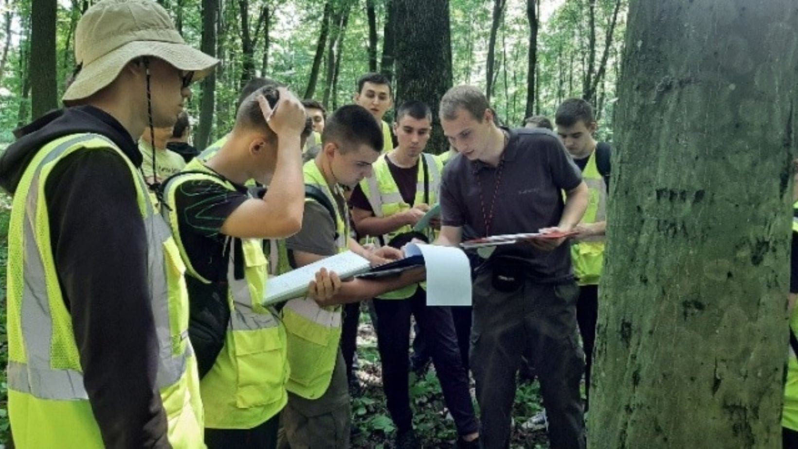 Поглиблене вивчення лісової таксації: практичний аспект