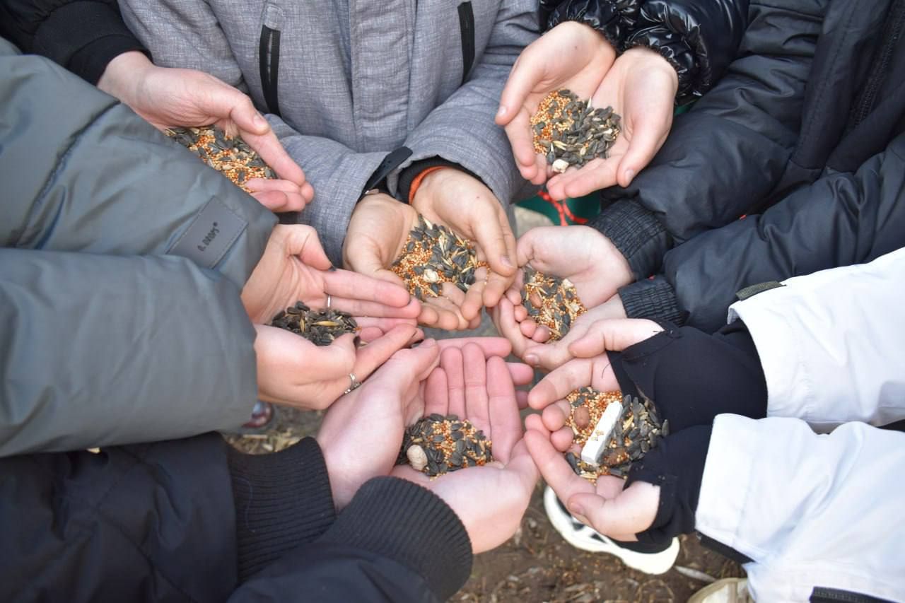 Встановлення годівничок на території Боярського академічного ліцею "Лідер"