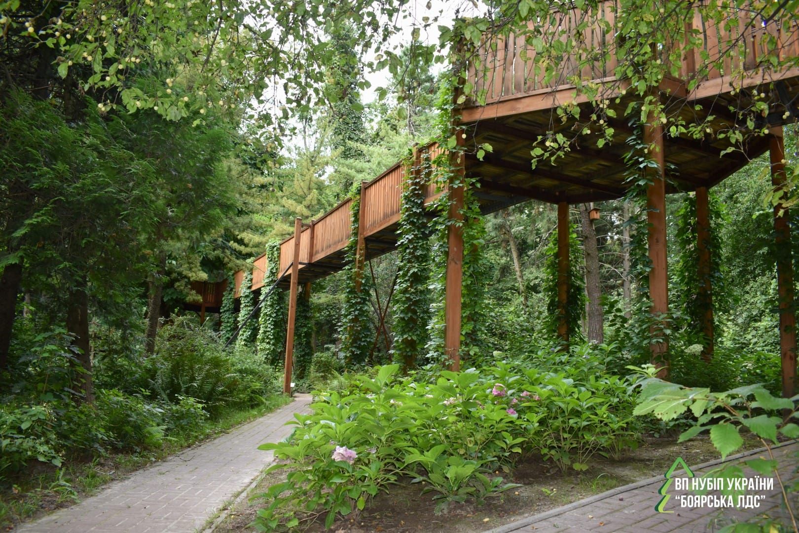 Ботанічний сад НУБіП – це  простір для натхнення, роздумів і творчості