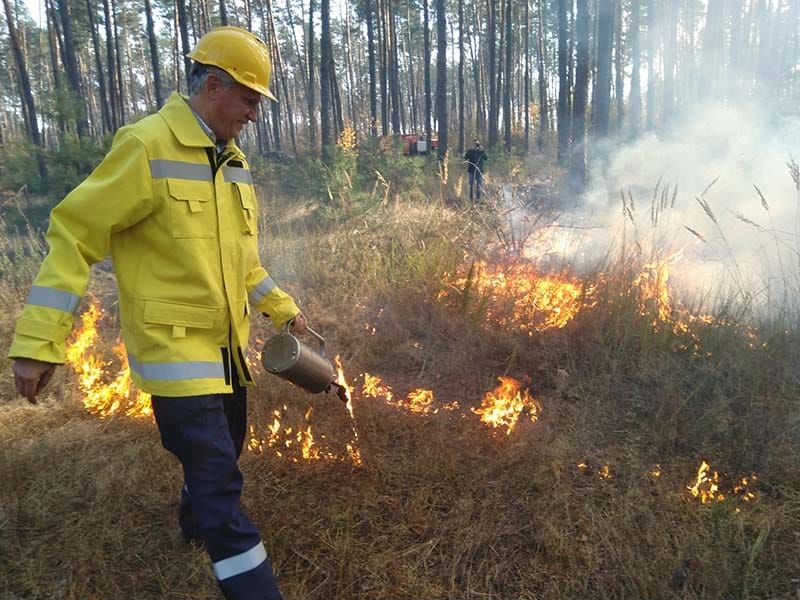 Пірогенний чинник, як один з інструментів формування лісів майбутнього