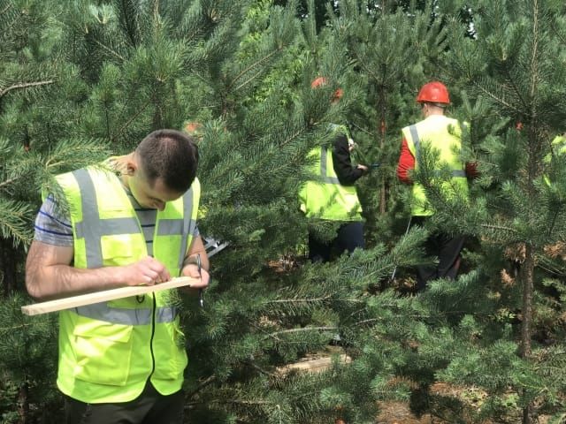 Поєднуючи навчання та дослідження: як проходила навчальна практика з лісової таксації