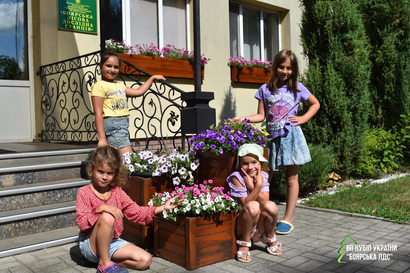 Пригоди починаються тут