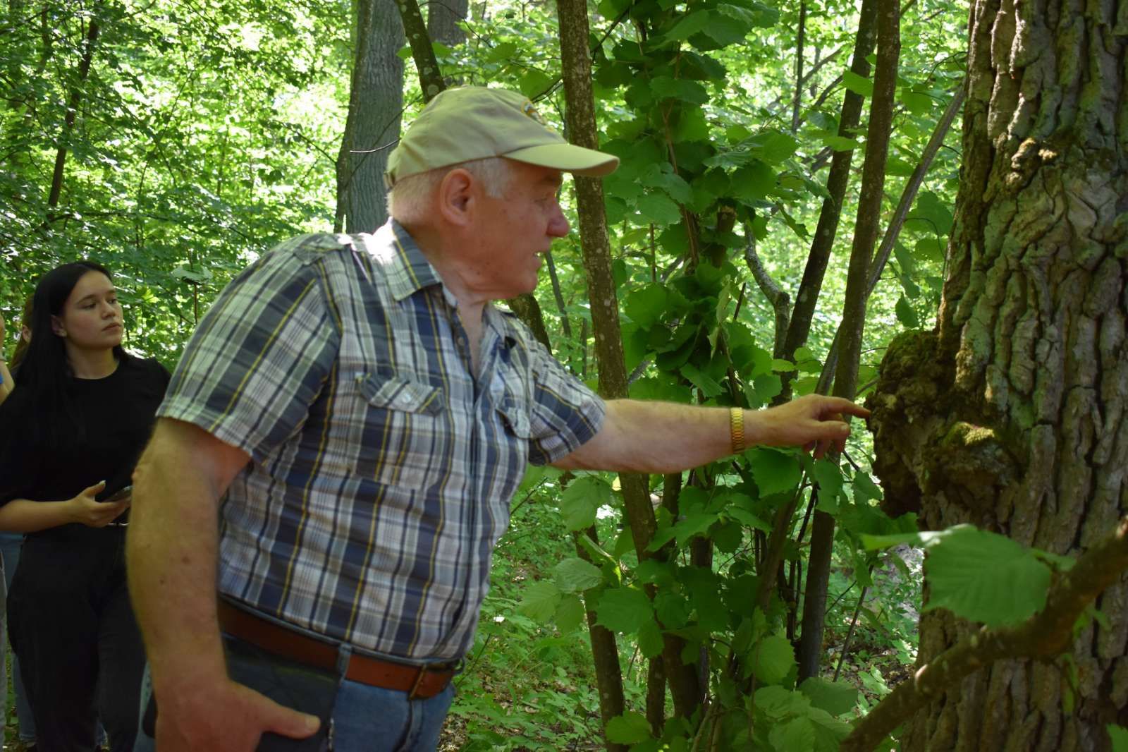 Лісова фітопатологія - наука, яка вивчає хвороби дерев!