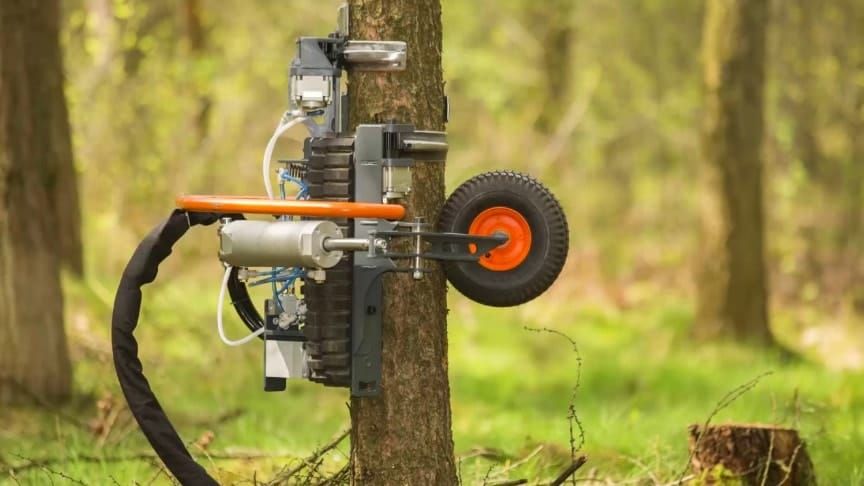 Технологічні інновації в лісовому господарстві