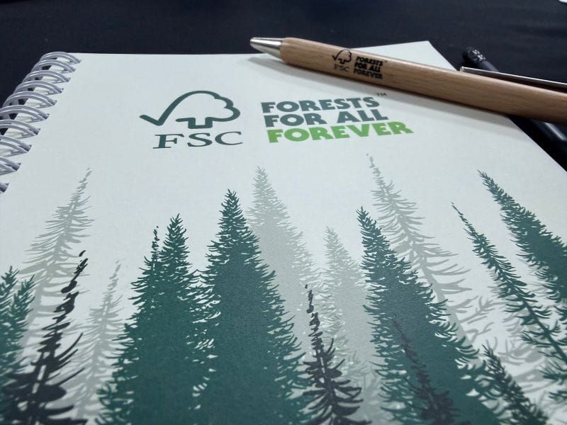 Відповідальне лісівництво починається зі знань – і переходить у дію