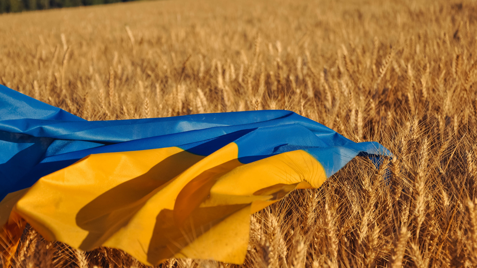 День Державного Прапора України