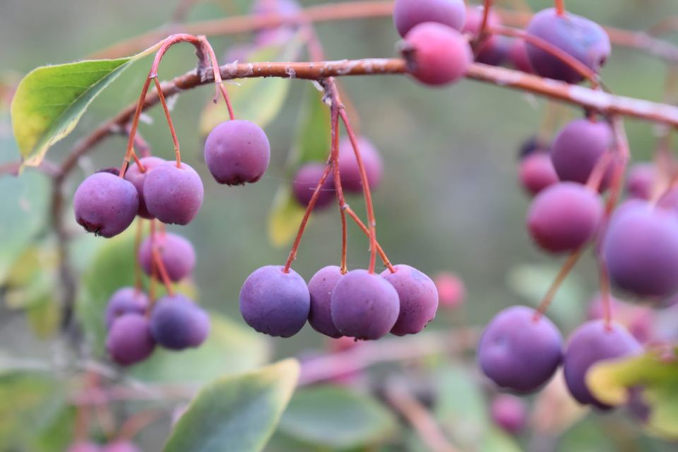 Чудовий завершальний акорд літа