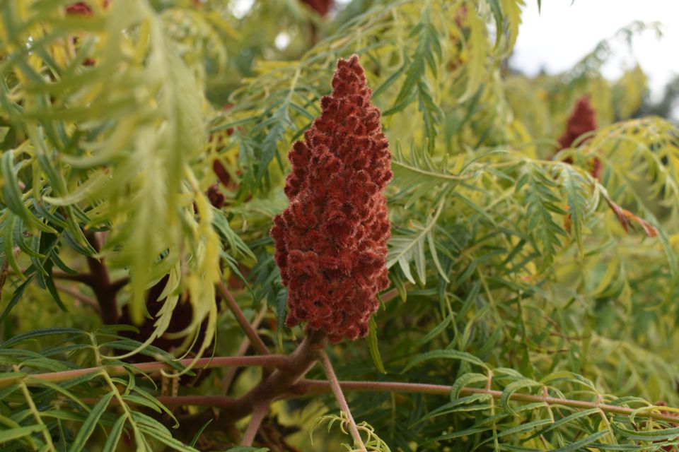 Вересень потішив теплом і сонячними днями