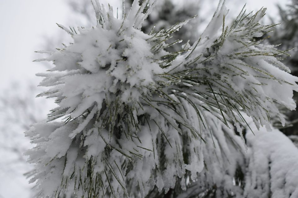 Лютий нарешті подарував нам справжню зимову атмосферу!