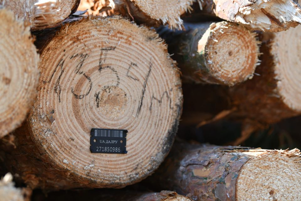 Виробнича діяльність