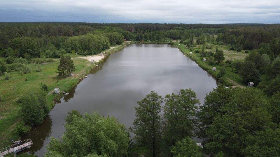Рекреаційні послуги та екомережа