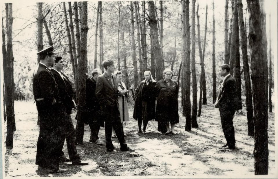 Лісове господарство Київської області (1968 рік)