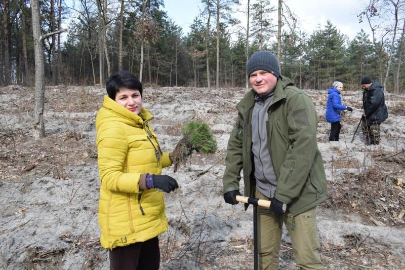 У Боярці продовжуються заходи з відтворення лісів