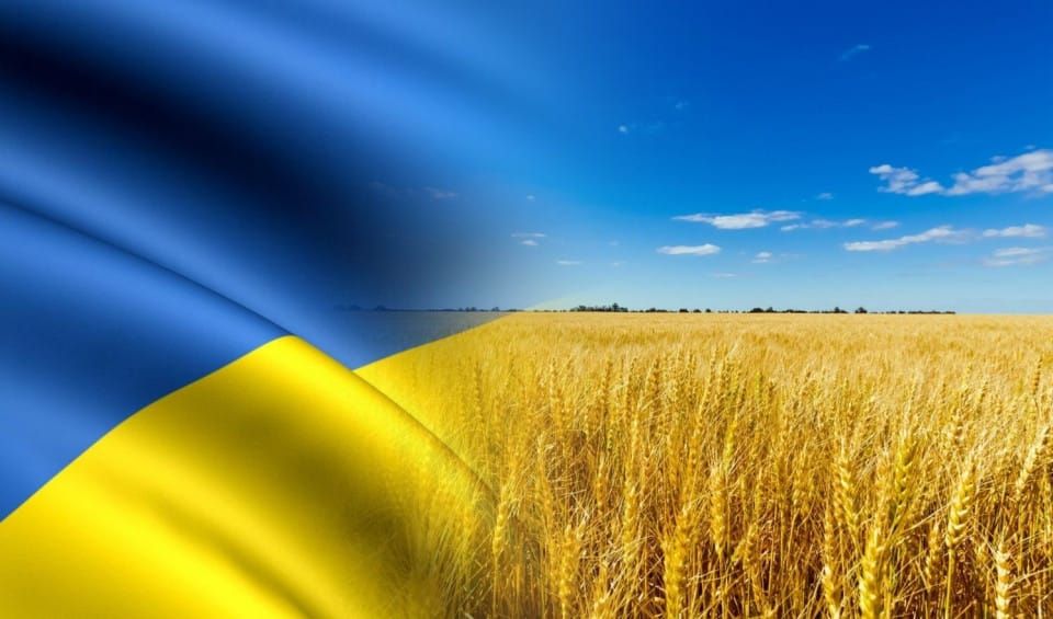 З Днем Незалежності, Україно!