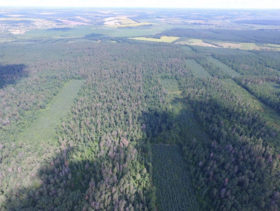 Працівники Боярської лісової дослідної станції разом із представниками зацікавлених сторін провели спільне виїзне засідання