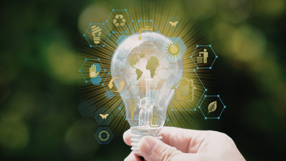 Всеукраїнського дня довкілля